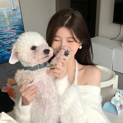 全能纳米机械狗